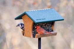 EcoTough&trade; Classic Bird Feeder 