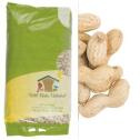 Peanuts