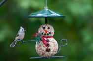 SnowmanSeedCylinder_TuftedTitmouse